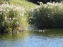 2016-10-06 11-21-46 Parc de la Courneuve DLe